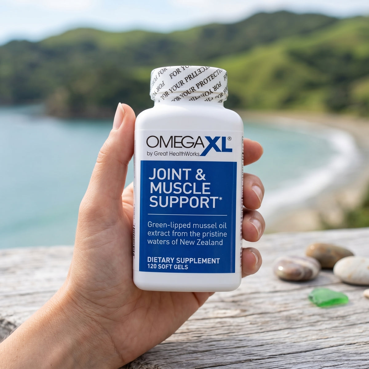 OmegaXL Official Website OmegaXL Omega-3 Joint Health Supplement – 120 Softgel Capsules